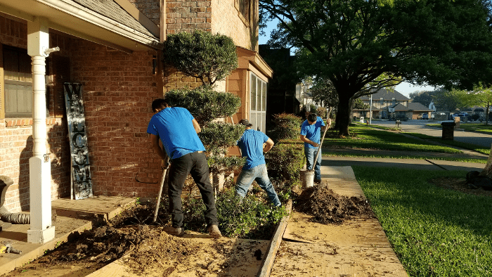 three men are shoveling dirt into the front yard
