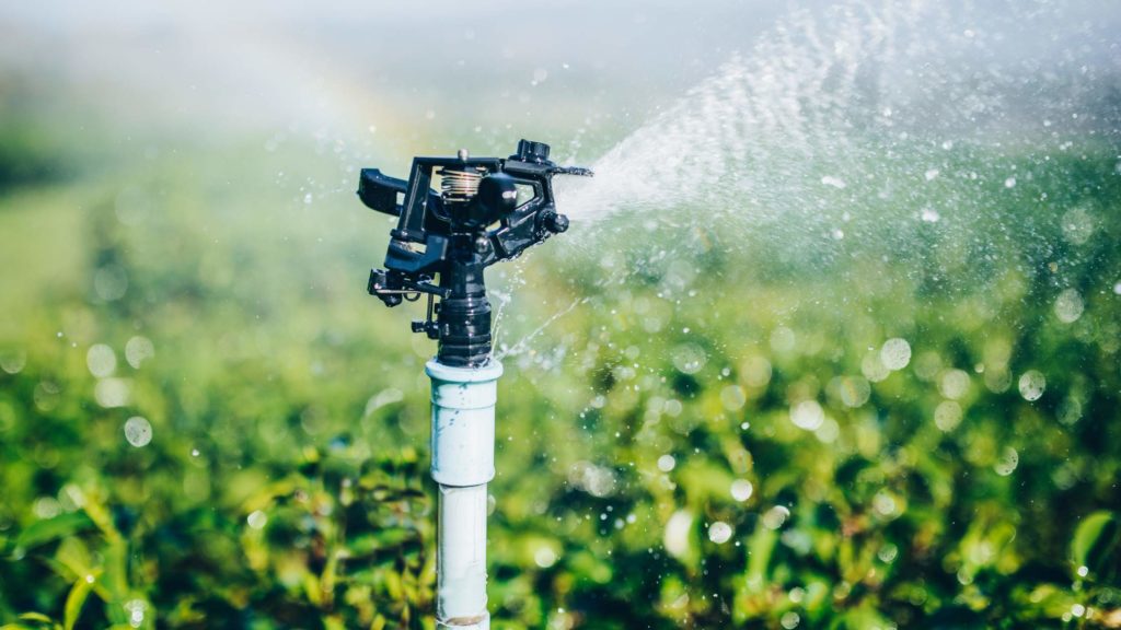 a sprinkler spraying water on a green field