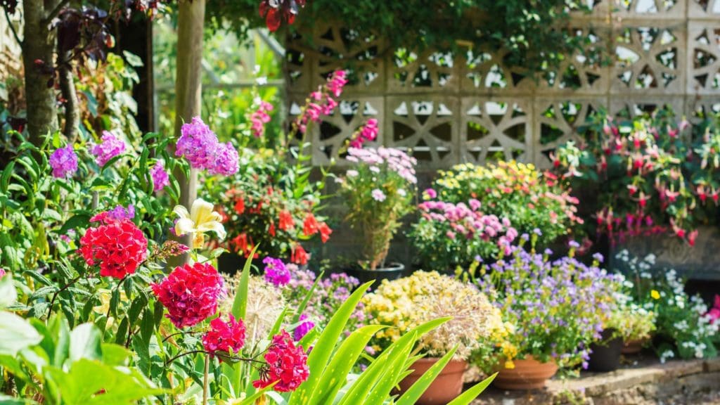 a garden filled with lots of colorful flowers