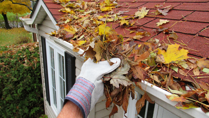 a person is cleaning leaves off the side of a house