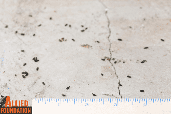 a ruler is next to a crack in floor